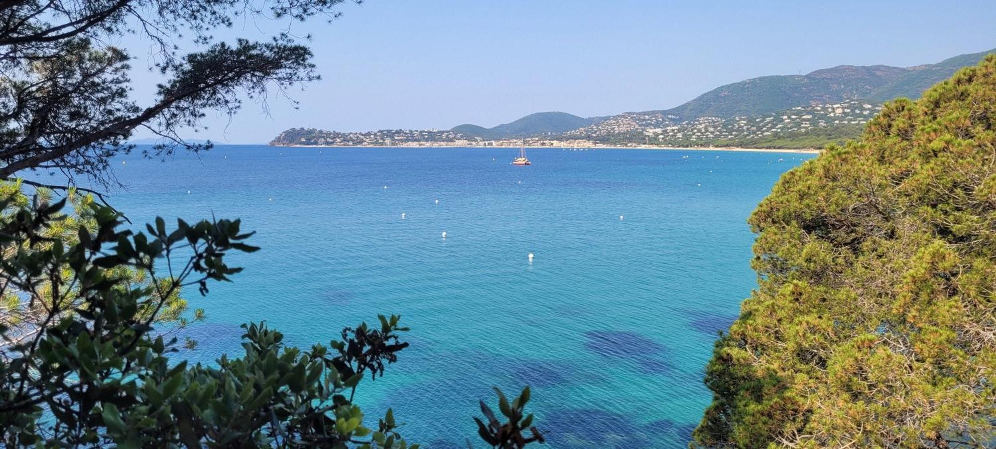 Appart T3 A 50 M De La Plage Cavalaire-sur-Mer Esterno foto